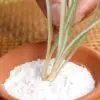 Plants Rooting Powders